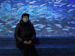 老虎滩公园(大连老虎滩海洋公园)