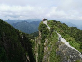 莽山门票(莽山门票多少)