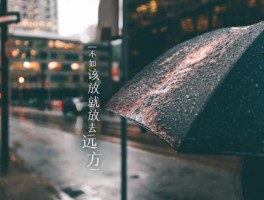 一个人旅行两个月的心情句子(一个人旅行两个月的心情句子图片)