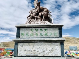 可可西里旅游(可可西里旅游注意事项)