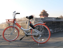 去北京旅游不会骑自行车(在北京骑自行车需要注意什么)