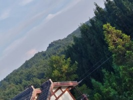 黄水镇避暑房出租信息(黄水镇避暑房出租信息大全)