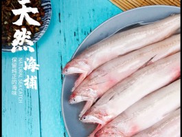 豆腐鱼(豆腐鱼图片)