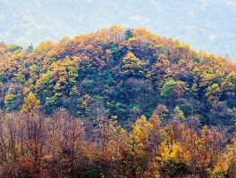 汉中旅游攻略(汉中旅游攻略二日游)