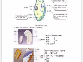 初中没学过生物，高中建议选吗?(初中没学生物,高中学还来的及吗?)