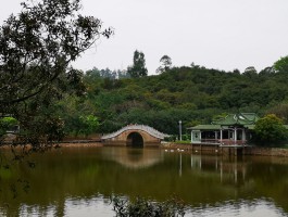 江门大雁山(江门大雁山要门票吗)