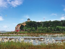 东营景点(东营景点大全排名榜)