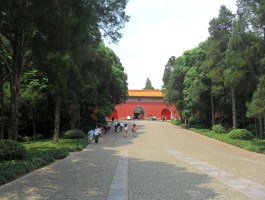 明孝陵(明孝陵游玩攻略)
