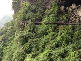 金佛山门票(金佛山门票可以玩2天)