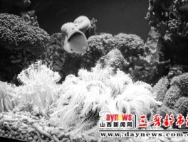 迎泽公园海底世界(迎泽公园海底世界门票)
