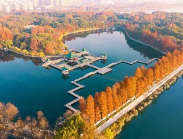 东湖风景区属于武汉哪个区(东湖风景区属于武汉哪个区的)