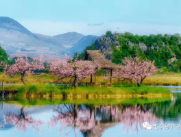 2023年3月免费旅游景点(2023年3月免费旅游景点有哪些)
