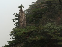 安徽黄山旅游景点(安徽黄山旅游景点有猴子吗)