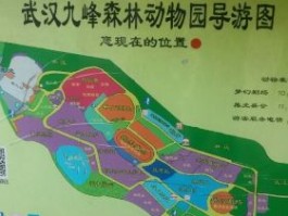九峰山森林动物园(九峰山森林动物园门票)