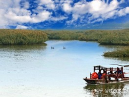 宁夏沙湖旅游日记(宁夏沙湖旅游日记300字)