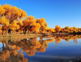 十月国庆后适合去哪里旅游(国庆节以后去哪里旅游好十月中旬)