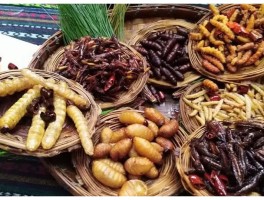 包含中国各地让外地人不能接受的美食的词条