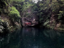 浙江免费旅游景点2023(浙江免费旅游景点2023对应门票)