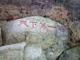 鸡公山风景区(鸡公山风景区住宿攻略)