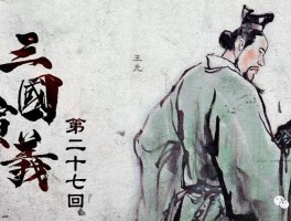 《三国演义》里有哪些不易发现却很打动人的细节？(三国演义中有没有完全出乎意料令人感到不可思议的情节)