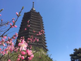 锦州旅游景点攻略(锦州旅游攻略)