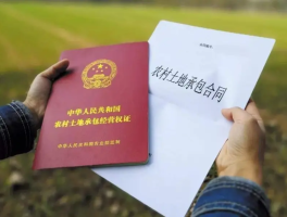 宅基地确权就是个坑(农村房屋确权2023新规)