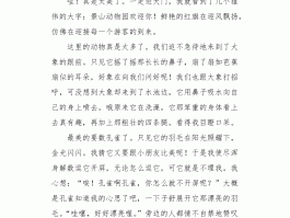 旅游日记250字作文(旅游日记250字作文怎么写)