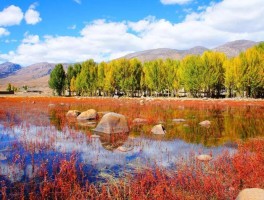 11月去哪里旅游最好(11月去哪里旅游最好的选择暖和的)