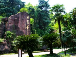 湖南省旅游景点(湖南省内旅游景点推荐)