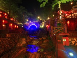 宁海森林温泉(宁海森林温泉景区)