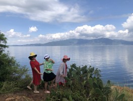 看样子真要来一场说走就走的旅行(来一场说走就走的旅程)