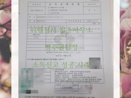 韩国旅游签证(韩国旅游签证怎么办理)