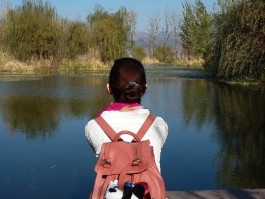 说走就走的旅行放飞心情的句子是什么(说走就走的旅行说说句子)