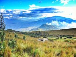 全球最值得去的50个旅行地方(全球最值得去的50个旅行地方是哪里)