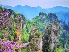 观山观水观世界美景(观山观水观世界美景图片)