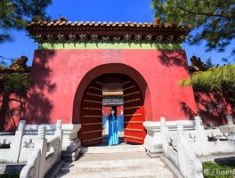 春节旅行拍照技巧大全图解(春节旅行拍照技巧大全图解说)