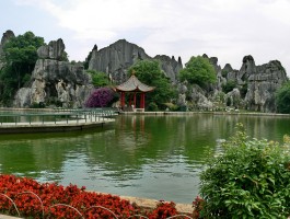 lvyou(旅游团报名哪个平台好)