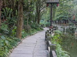 一个人成都旅行游记(成都适合一个人旅游的地方有哪些)