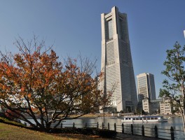 尼康d300摄影技巧(尼康d7100摄影技巧)