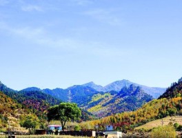 写去吕梁山旅游的日记(写去吕梁山旅游的日记三年级)