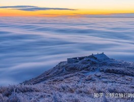 抖音一个人旅行(抖音一个人旅行的文案)