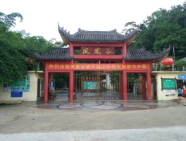 师宗凤凰谷(师宗凤凰谷门票多少钱)
