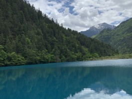 四川九寨沟旅游(四川九寨沟旅游景点介绍)