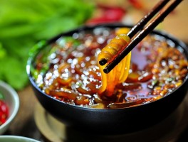 重庆的美食和旅游景点(重庆旅游美食介绍)