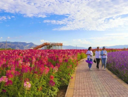 白银旅游(白银旅游攻略)