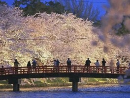 青森县旅游美食攻略(青森县旅游美食攻略图片)