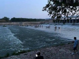 沙河水库(沙河水库可以钓鱼吗)
