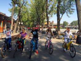 去北京旅游要骑自行车吗(去北京玩自驾需要进京证吗)