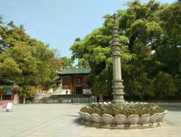 南华寺攻略(南华寺游玩攻略)