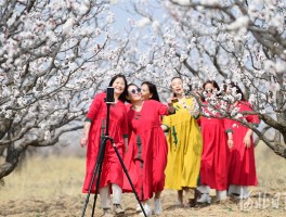 四月去河北哪里旅游最好(四月份去河北哪里旅游合适)